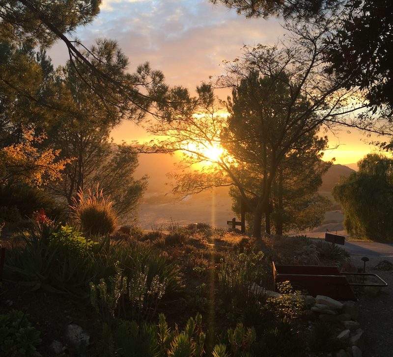 44100_1769189797370-sunset-view-west-scaled